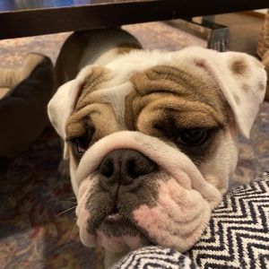 Meet your Posher, Luc